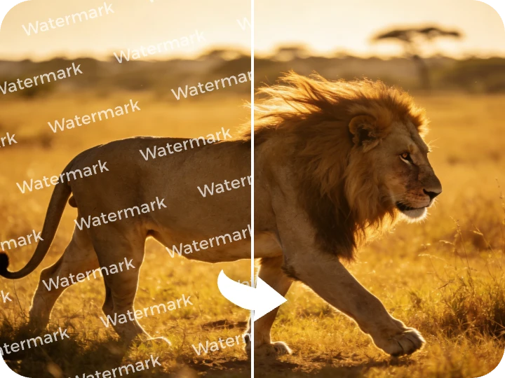 Watermark Remover