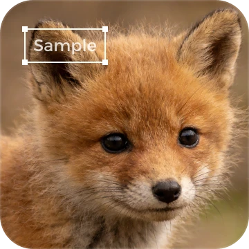 Watermark Photos